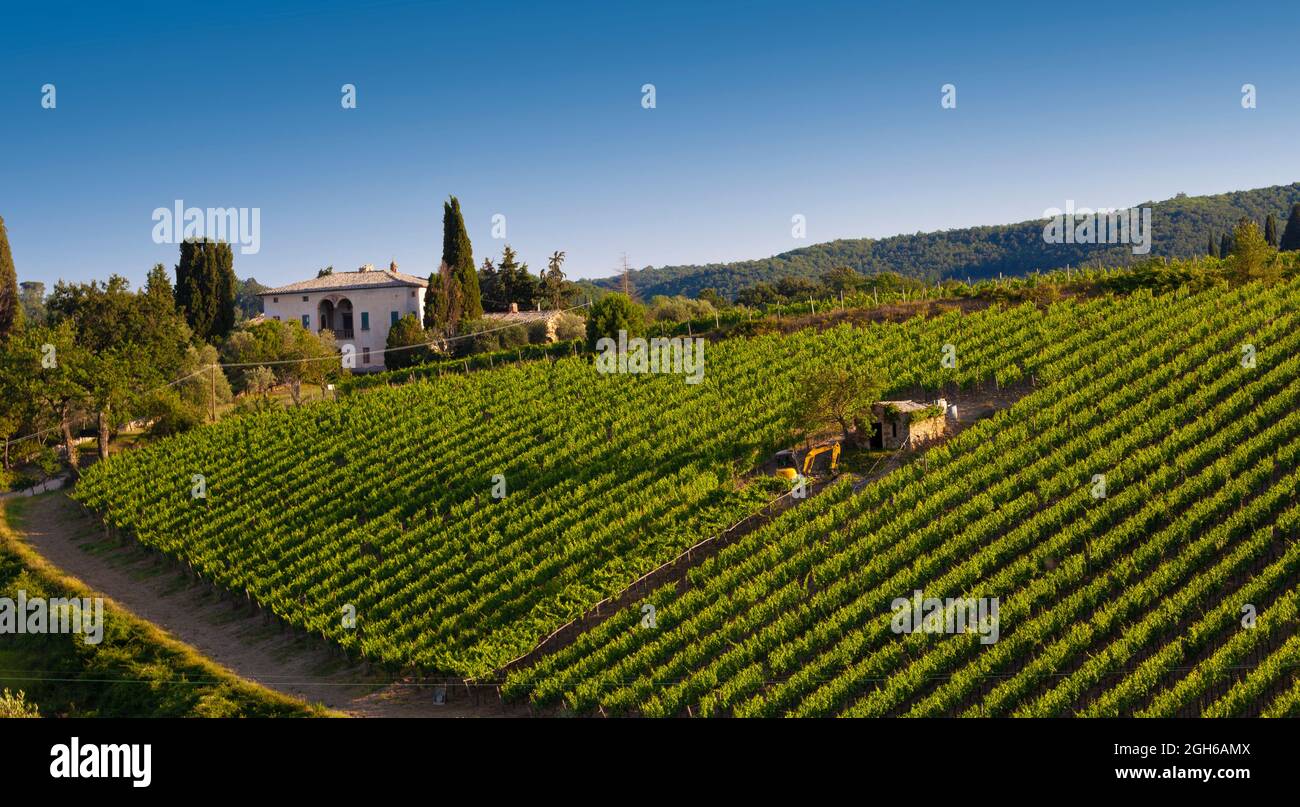 Weinberglandschaft in der Toskana, Italien. Stockfoto