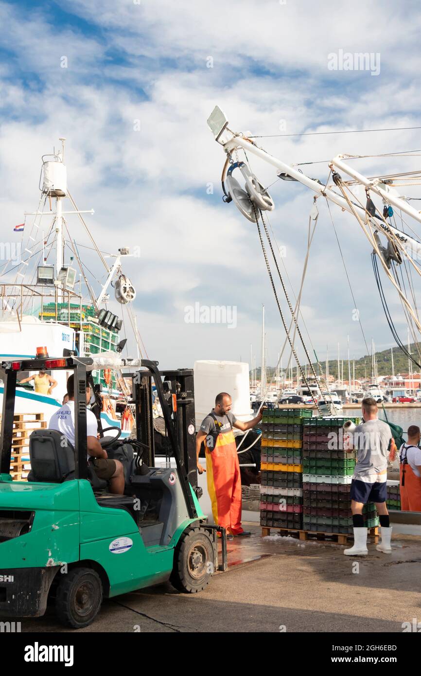 Tribunj, Kroatien - 4. August 2021: Fischer und Hafenarbeiter beladen Fischbehälter und -Boxen mit Bootskranen und Gabelstaplern Stockfoto