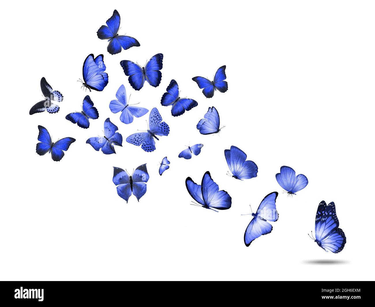 Farbige fliegende Schmetterlinge isoliert auf weißem Hintergrund