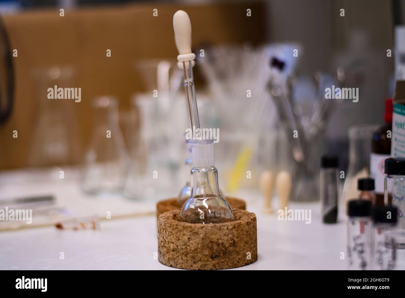 Kolben mit rundem Boden und Glasbehälter für die chemische Synthese in einem Chemielabor mit Chemikalien in Fläschchen Stockfoto