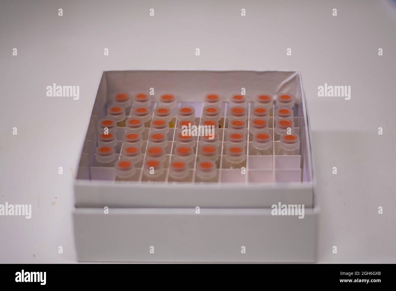 Eine Sammlung von Flüssigchromatographie-Glasfläschchen, die für die chemische Forschung in einer weißen Box aufbewahrt werden Stockfoto