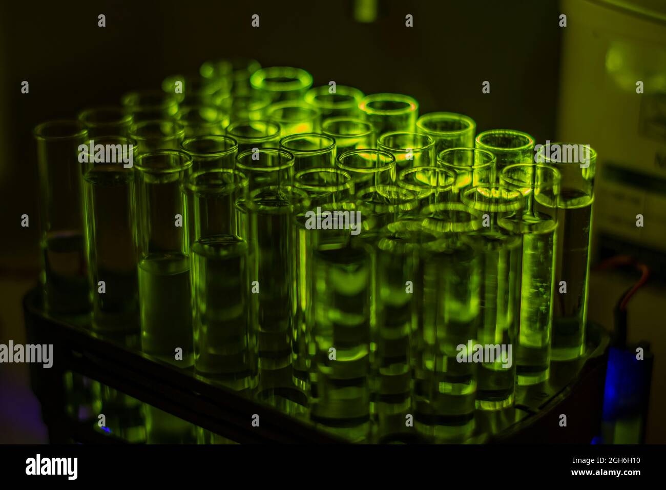 Glühende fluoreszierende organische Verbindungsflüssigkeit, die aus der Säulenchromatographie in mehreren Reagenzröhren in einem Chemielabor für medizinische Chemistr gewonnen wurde Stockfoto