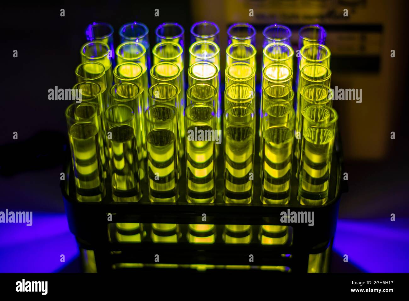 Glühende organische Verbindungslösung, die aus der Säulenchromatographie in mehreren Reagenzröhrchen in einem Chemielabor für die biomedizinische Forschung gewonnen wurde Stockfoto