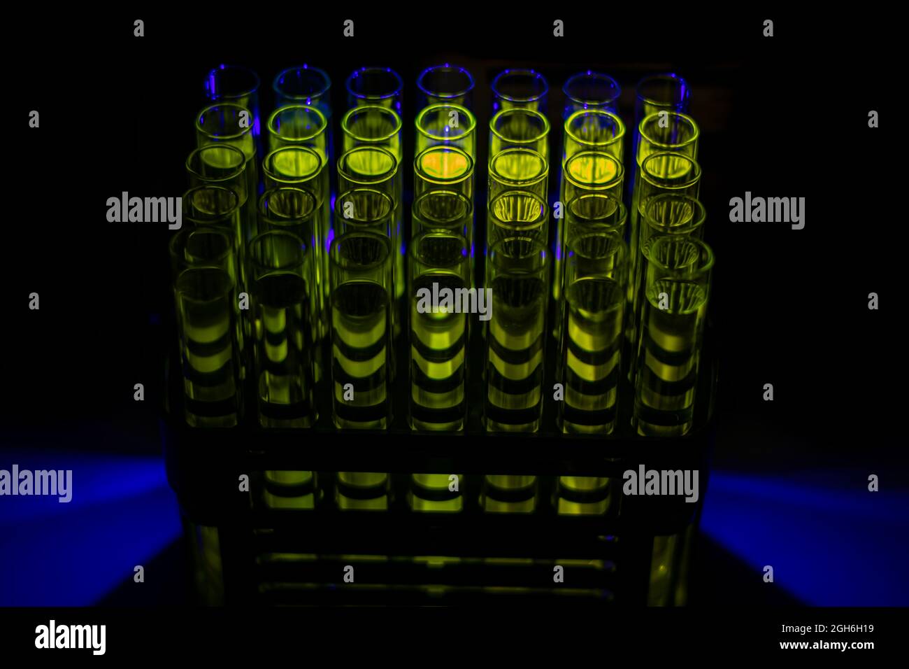 Fluoreszierende organische Verbindungslösung, die aus der Säulenchromatographie in mehreren Reagenzröhren in einem Chemielabor für die biomedizinische Forschung gewonnen wurde Stockfoto