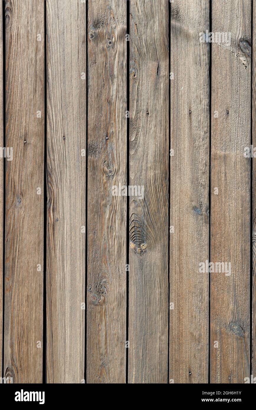 Ein Holzzaun mit einer ausgeprägten knottigen Textur, einem natürlichen Hintergrund aus unbemaltem Holz mit einer rauen Oberfläche. Eine hohe Auflösung. Vertikales Bild. Stockfoto