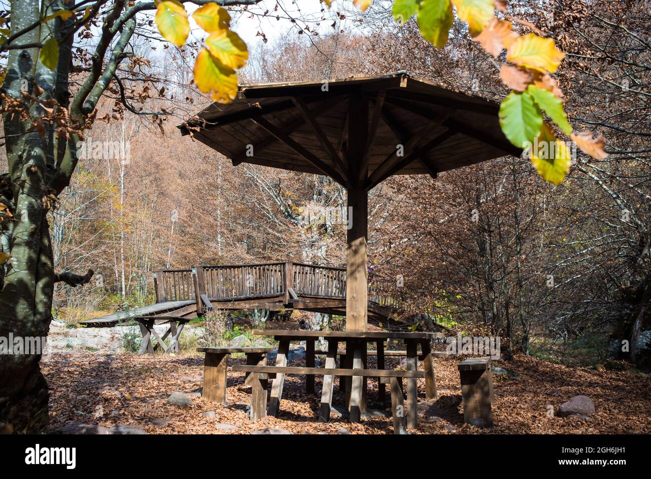 Holztisch mit Picknickschirm im Park, umgeben von Wald. Naturschutz. Stockfoto