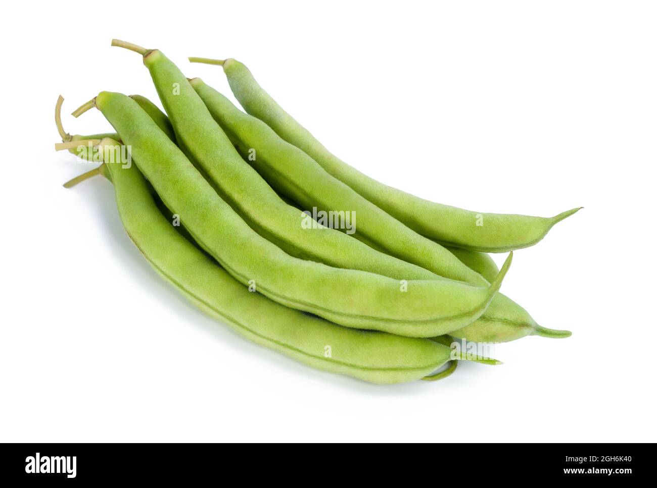 Frische reife grüne Bohnenschoten isoliert auf weißem Hintergrund Stockfoto