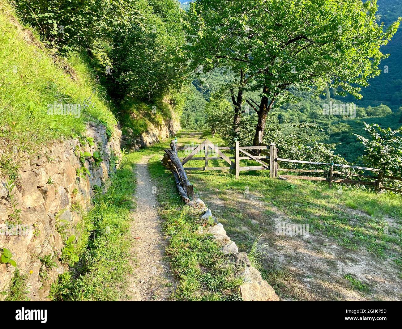 Friedliche Landschaft des Hochplateaus im Sommer Stockfoto