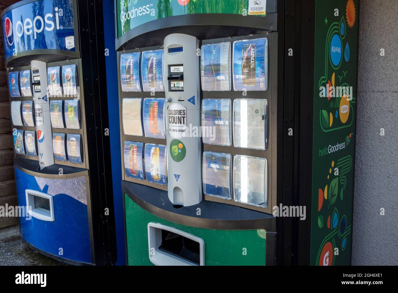 Tacoma, WA USA - ca. August 2021: Blick auf Automaten im Point Defiance Zoo. Stockfoto