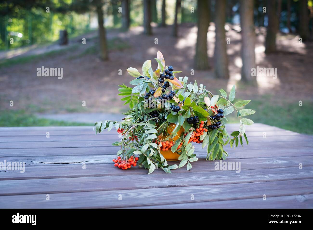 Bunte Herbstbeerenzweige in einer Vase. Schlichtes Bukett in Herbstfarben. Saisonale Dekoration. Stockfoto