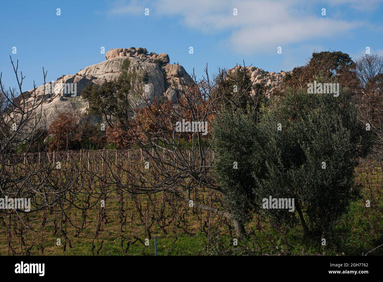 Dies ist das Valle della Lune, Tal des Mondes, im Nordwesten Sardiniens. Es liegt in der Nähe der Stadt Aggius und ist ein landwirtschaftlich anbautes Gebiet Stockfoto