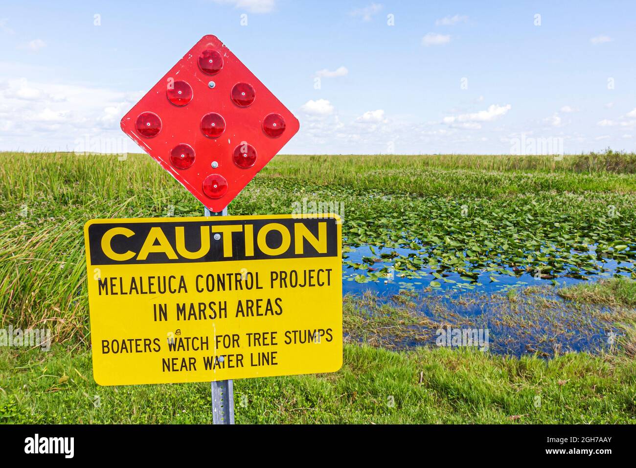 Miami Florida, I-75 Interstate 75 Alligator Alley Everglades, Süßwasser Sumpf Ökosystem invasive Arten Zeichen Melaleuca Control Project Stockfoto