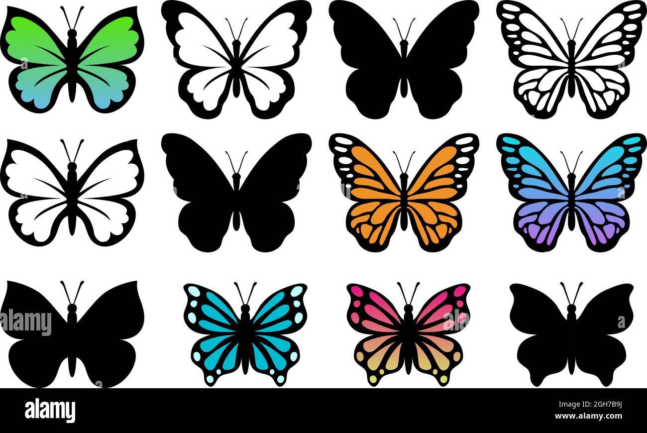 Vektorsammlung von schönen Schmetterlingsinsekten isoliert auf weißem Hintergrund. Silhouette farbenfroher tropischer Schmetterlinge. Sommer Natur Illustration Stock Vektor