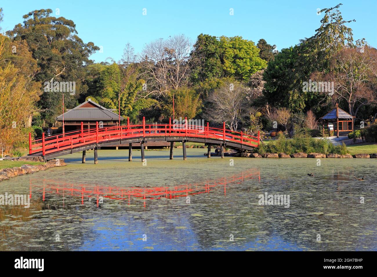 Red Japanese Bridge over the Lake at the North Coast Regional Botanic Garden, Coffs Harbour, NSW, Australien Stockfoto