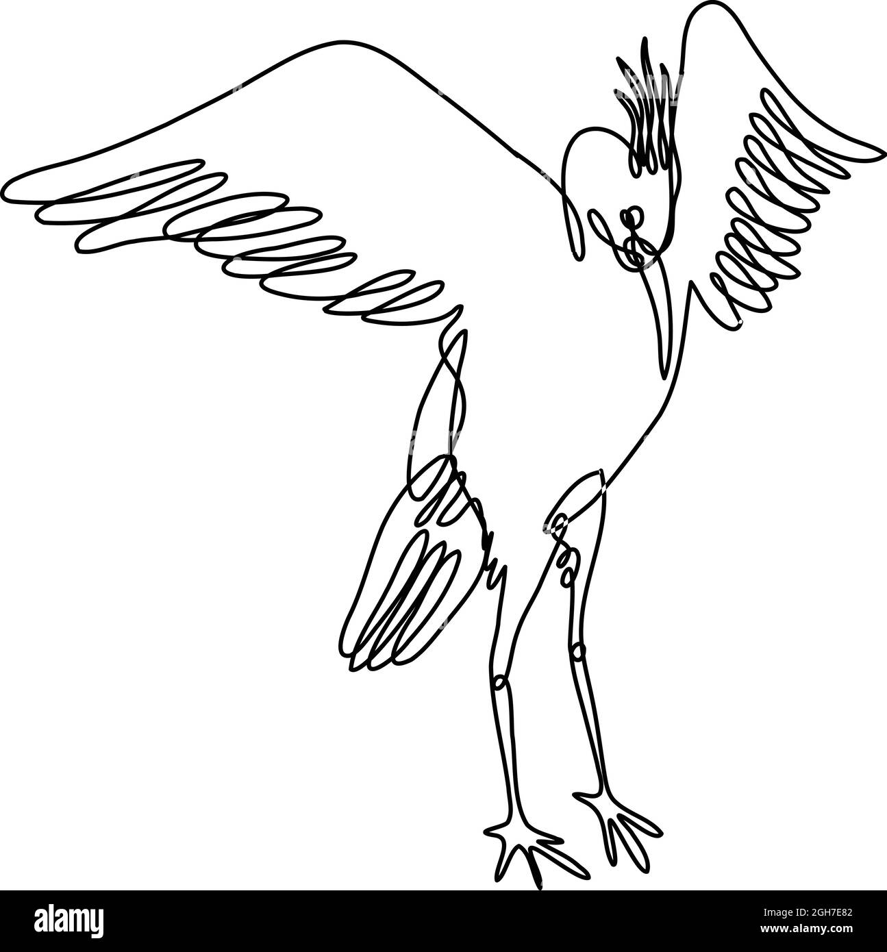 Durchgehende Linienzeichnung Illustration eines Krans, der die Flügel ausbreitet, Vorderansicht in Mono-Line oder Doodle-Stil in Schwarz und Weiß auf isoliertem Hintergrund Stock Vektor