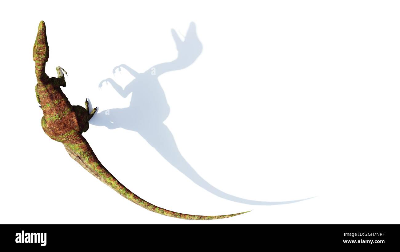 Compsognathus longipes, kleiner Dinosaurier aus der späten Jurazeit, isoliert auf weißem Hintergrund, 3d-Paläoart-Illustration Stockfoto