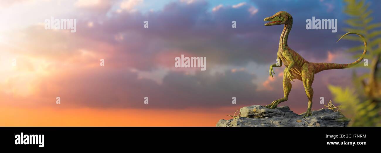Compsognathus longipes, kleiner Dinosaurier aus der späten Jurazeit, Hintergrundbanner, 3d-Paläoart-Rendering Stockfoto