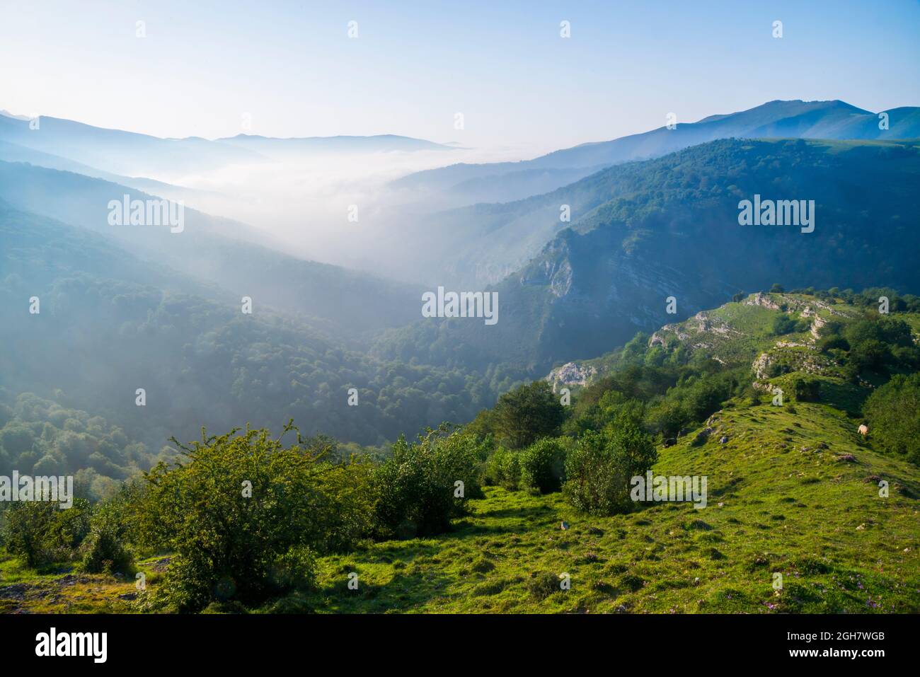 Übersicht vom Palombera-Pass. Reserva del Saja Naturschutzgebiet, Kantabrien, Spanien. Stockfoto
