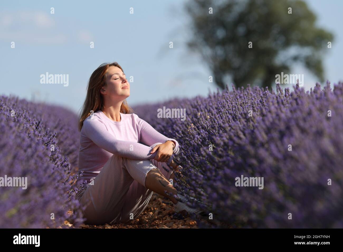 Entspannte Frau atmen frische Luft sitzen in einem Lavendelfeld ein sonniger Tag Stockfoto