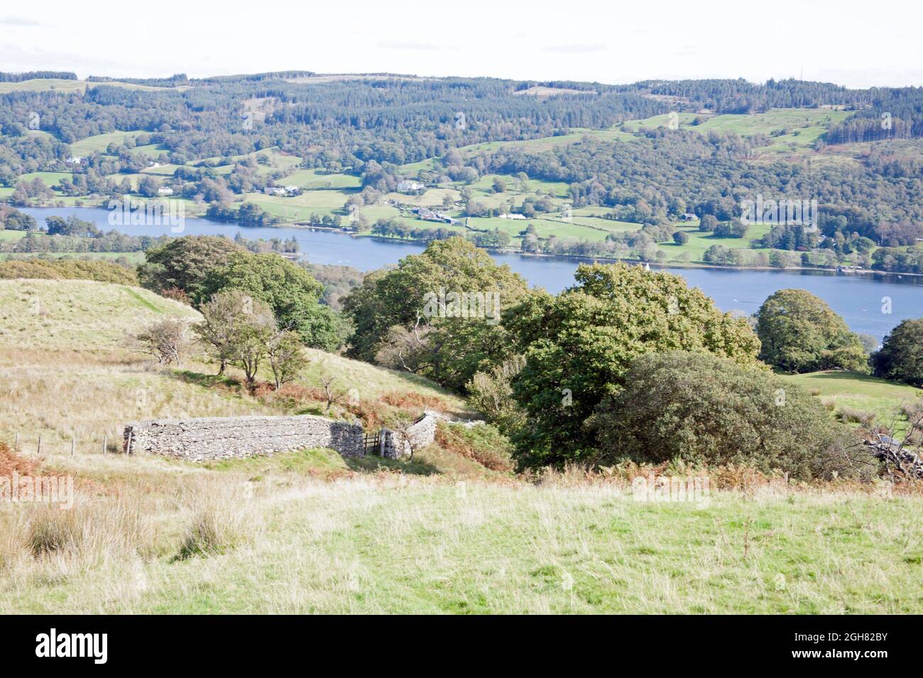 Coniston Wasser von oben gesehen Bleathwaite Weide Coniston Lake District Cumbria England Stockfoto