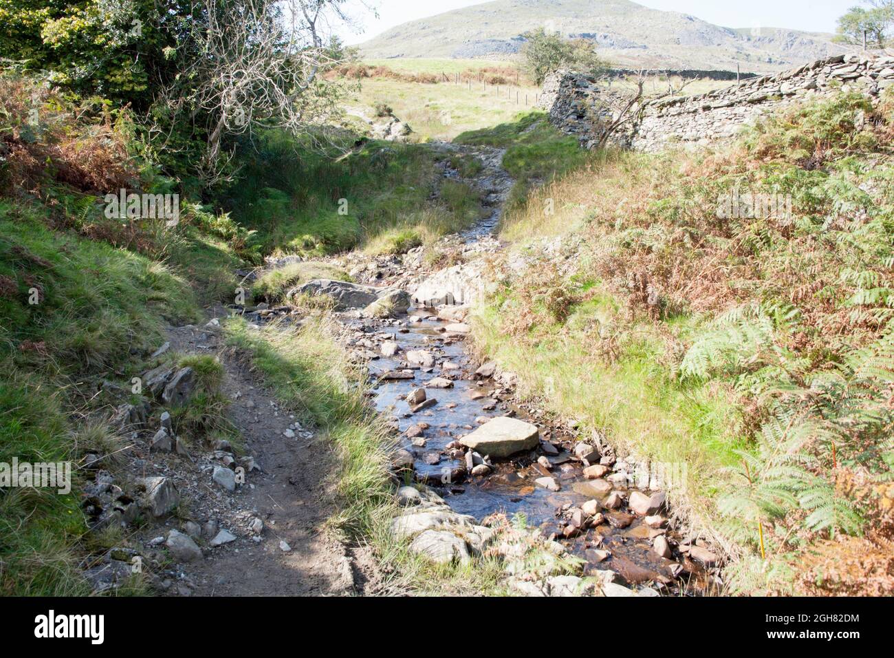 Kleiner Bach und Fußweg in der Nähe des Park Gate Coniston Cumbria England Stockfoto