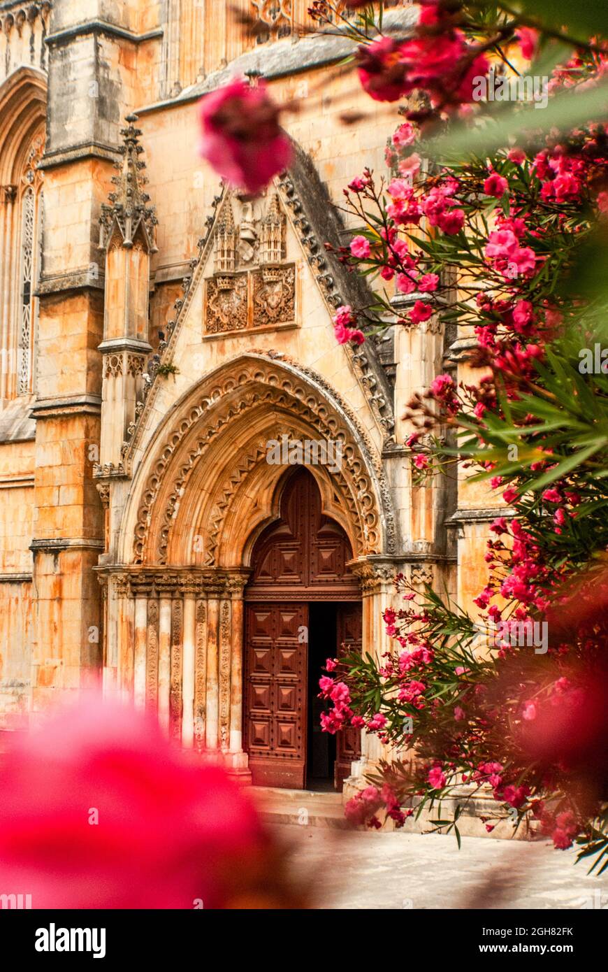 Gotischer Eingang des Klosters von Batalha in rosa blühenden Oleanderblüten im Vordergrund - Nerium Oleander, Batalha, Portugal, Vertical, Select Stockfoto