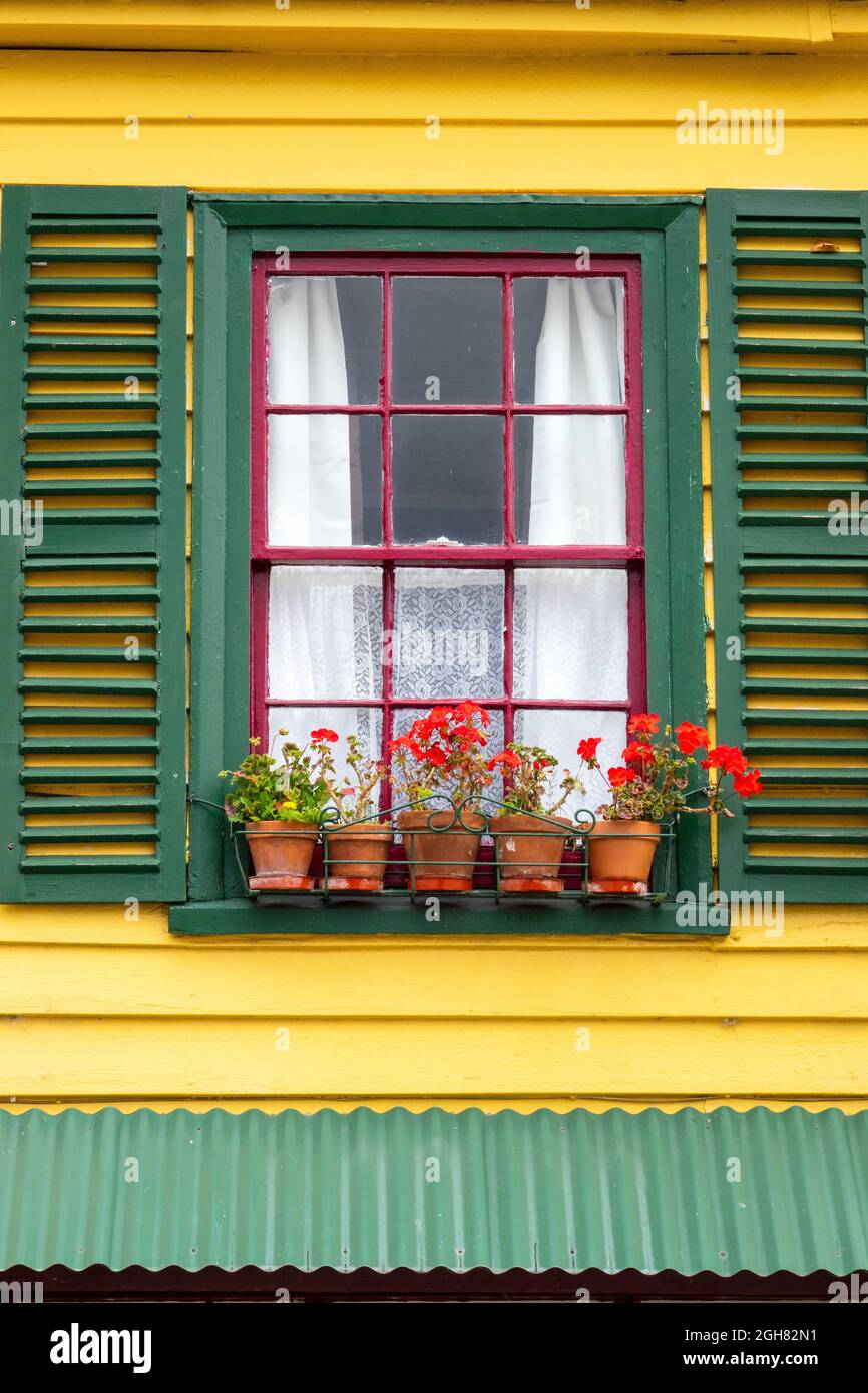 Bunt Bemalte Fenster Der Neuseeländischen Flagge Farben Und Roten Geranien In Akaora Neuseeland Inspiriert Von Ihrem Französischen Erbe Stockfoto