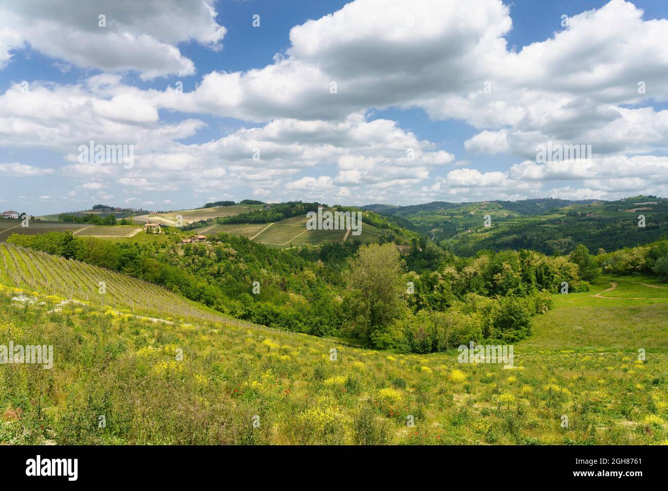 Ländliche Landschaft im Frühling in Langhe bei Dogliani, Provinz Cuneo, Piemont, Italien, UNESCO-Weltkulturerbe. Stockfoto