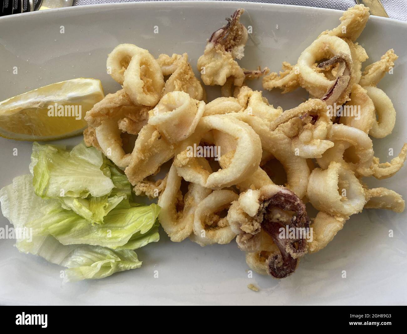 Gebratener Calamari, ein typisches Gericht der italienischen Küche Stockfoto