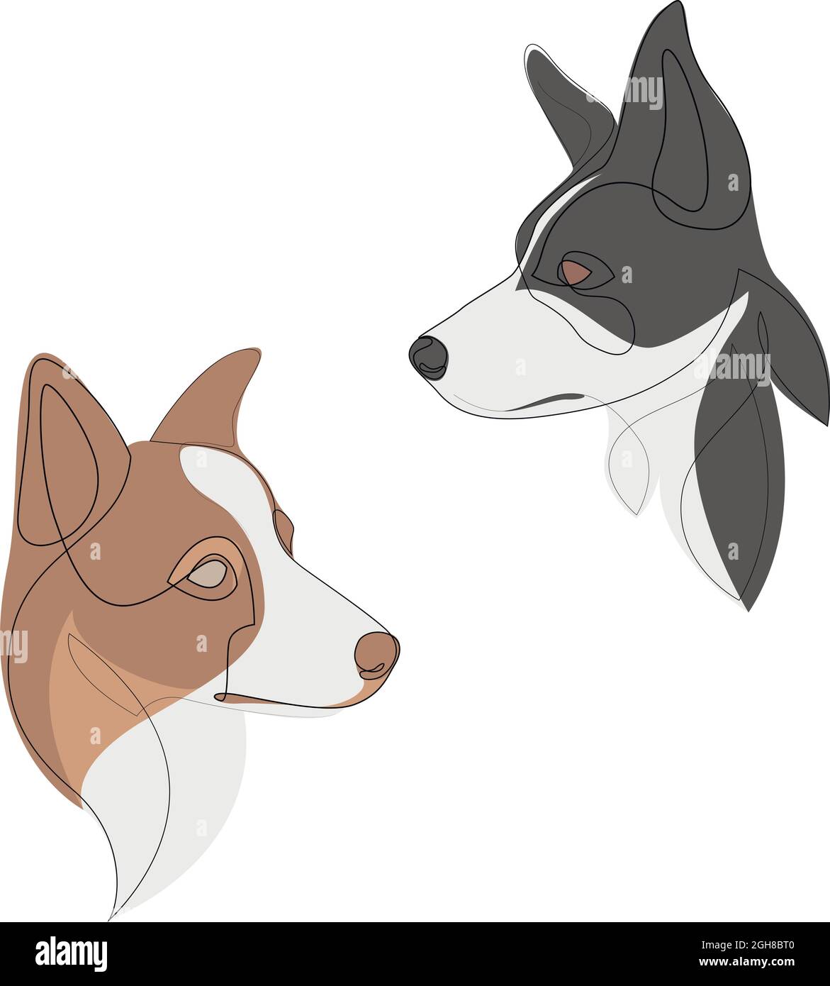 Graue Grenze Collie Vektor Hund Porträt. Durchgehende Linie. Hund Linie Zeichnung mit Farbe. Set aus zwei. Stock Vektor