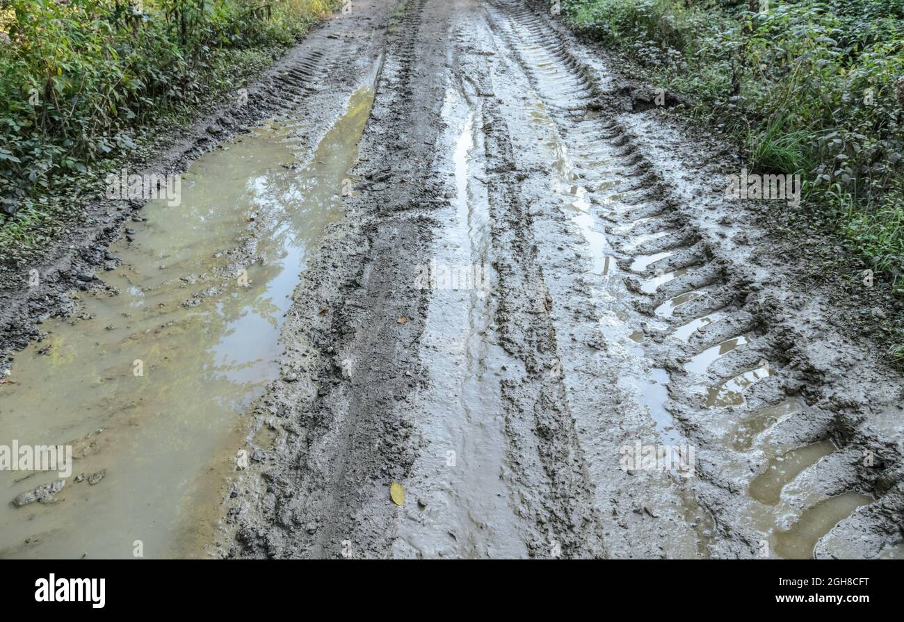 Große und breite Reifenspuren oder Reifenspuren eines schweren Traktors auf schlammigem und nassem Weg Stockfoto