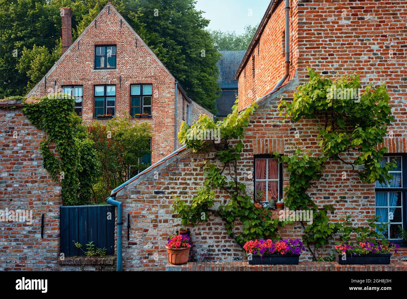 Alte Häuser von Begijnhof Beginage mit Blumen in Brügge, Belgien Stockfoto