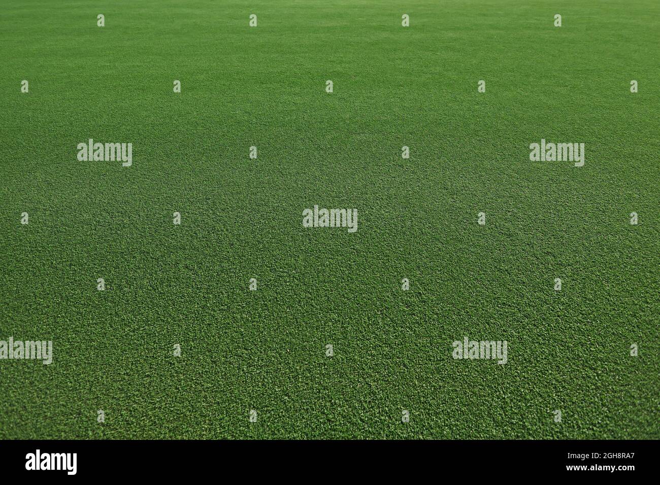 Grüne Grasstruktur. Grüner Rasen, volle Länge mit Platz für Text Stockfoto