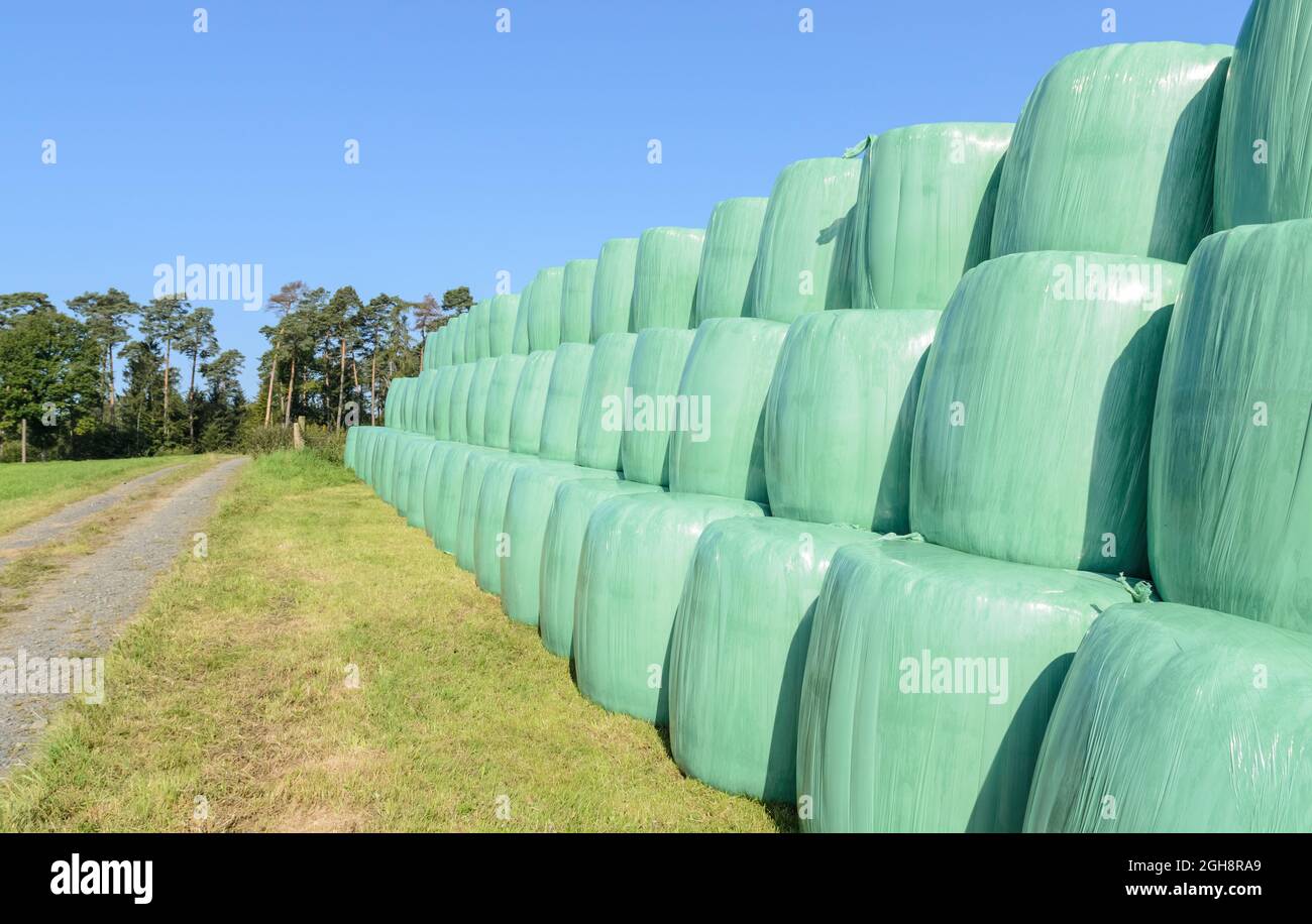 Haufen von vielen Silagehageballen für Fußer in einem landwirtschaftlichen Feld auf dem Land in Deutschland, Europa, in grünen Kunststoff gehüllt Stockfoto