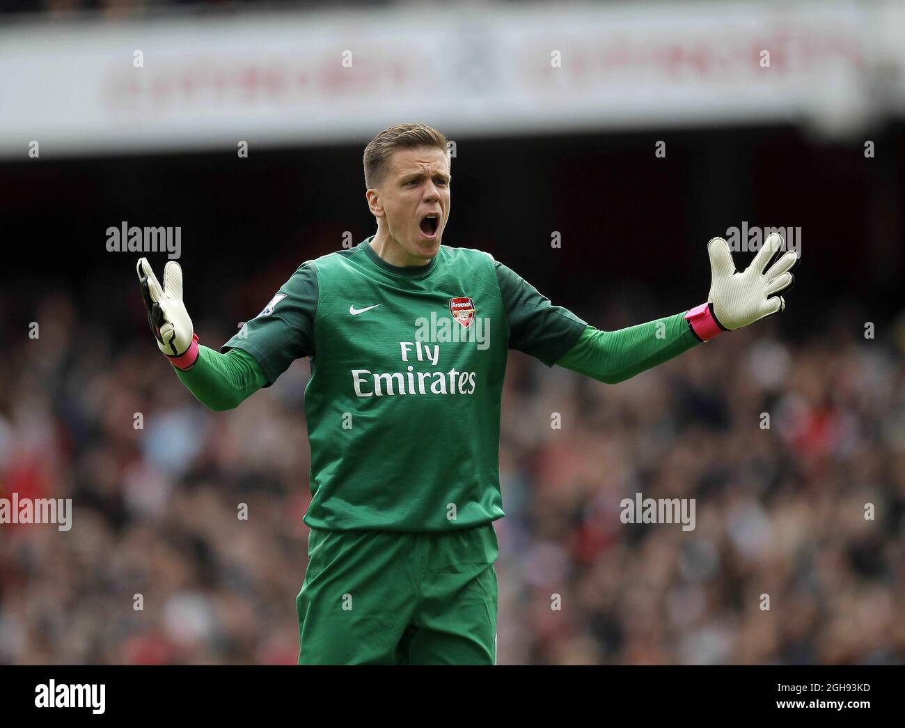 Wojciech Szczesny von Arsenal feiert das erste Tor des Spiels während des Barclays Premier League-Spiels zwischen Arsenal und Manchester United im Emirates Stadium, London, am 28. April 2013. Stockfoto