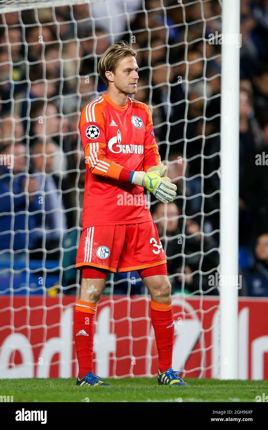 FC Schalke Torwart Timo Hildebrand beim Champions-League-Fußballspiel der Gruppe E zwischen Chelsea und FC Schalke 04 im Stamford Bridge Stadium in London am 6. November 2013. Stockfoto