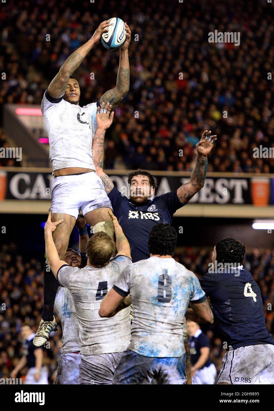 Courtney Lawes aus England gewinnt den Line-Out-Ball - RBS 6Nations während des Rugby-Union-RBS 6 Nations-Spiels zwischen Schottland und England, das am 8. Februar 2014 im Murrayfield Stadium in Edinburgh, Schottland, stattfand. Stockfoto