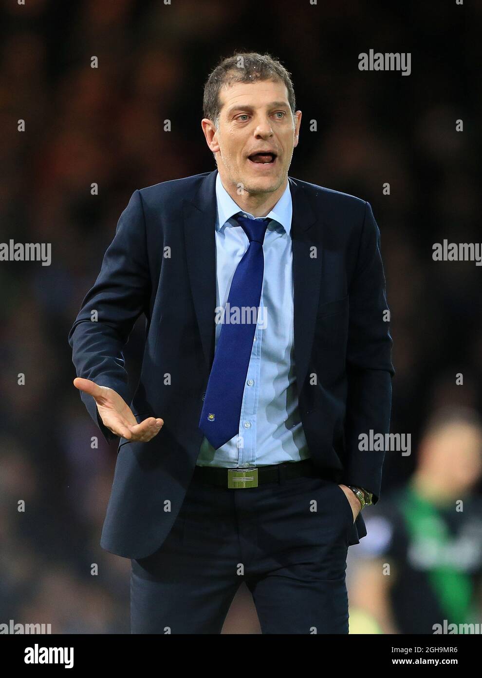 Bild #: 41479374 Dec 12, 2015 - London, Vereinigtes Königreich - West Ham's Slaven Bilic looks on..Barclays Premier League - West Ham United gegen Stoke City - Upton Park - England -12. Dezember 2015 - Stockfoto