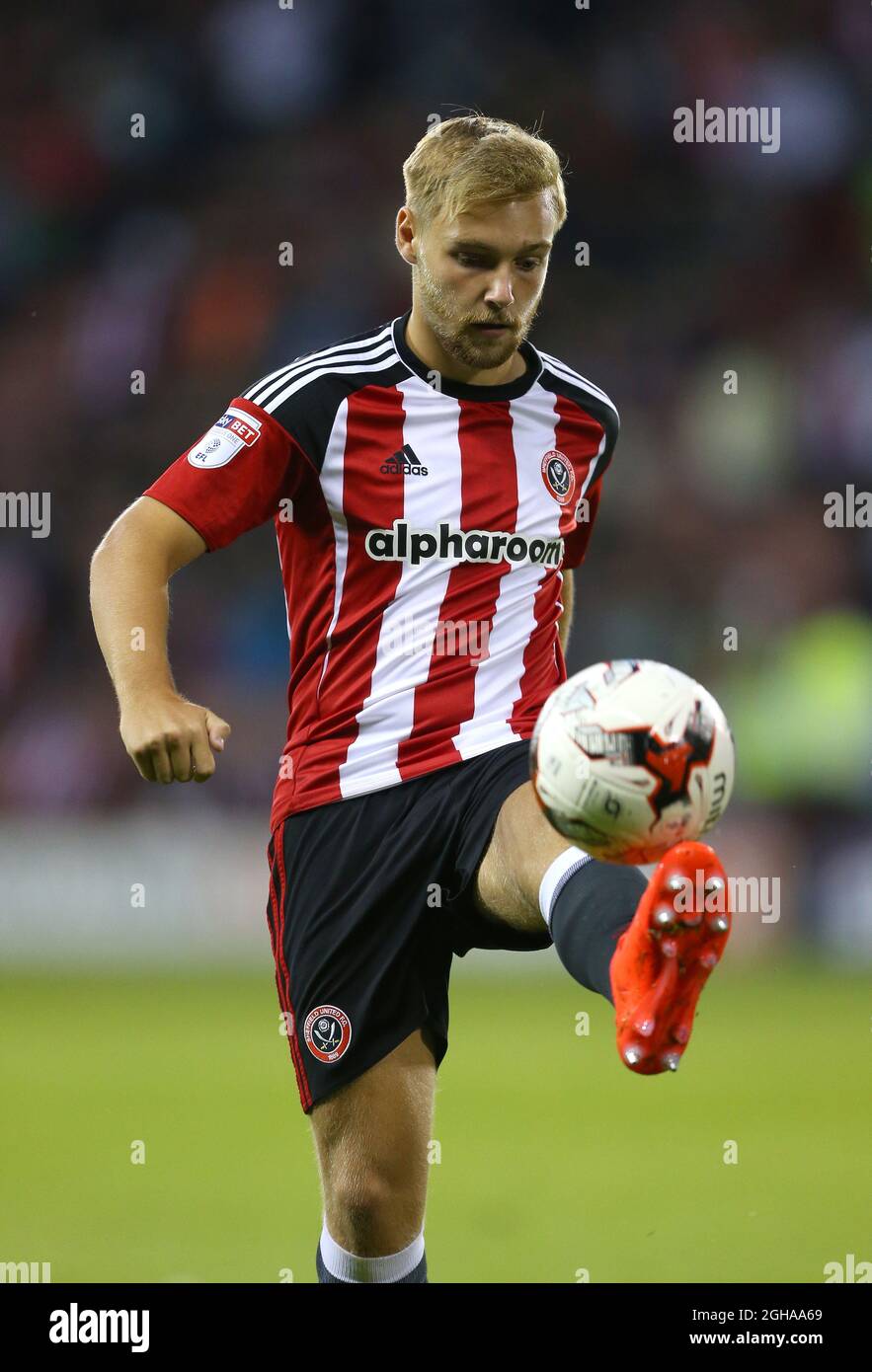 Harry Chapman von Sheffield Utd beim Sky Bet EFL League One Match im Bramall Lane Stadium, Sheffield. Bilddatum: 16. August 2016. PIC Simon Bellis/Sportimage über PA Images Stockfoto