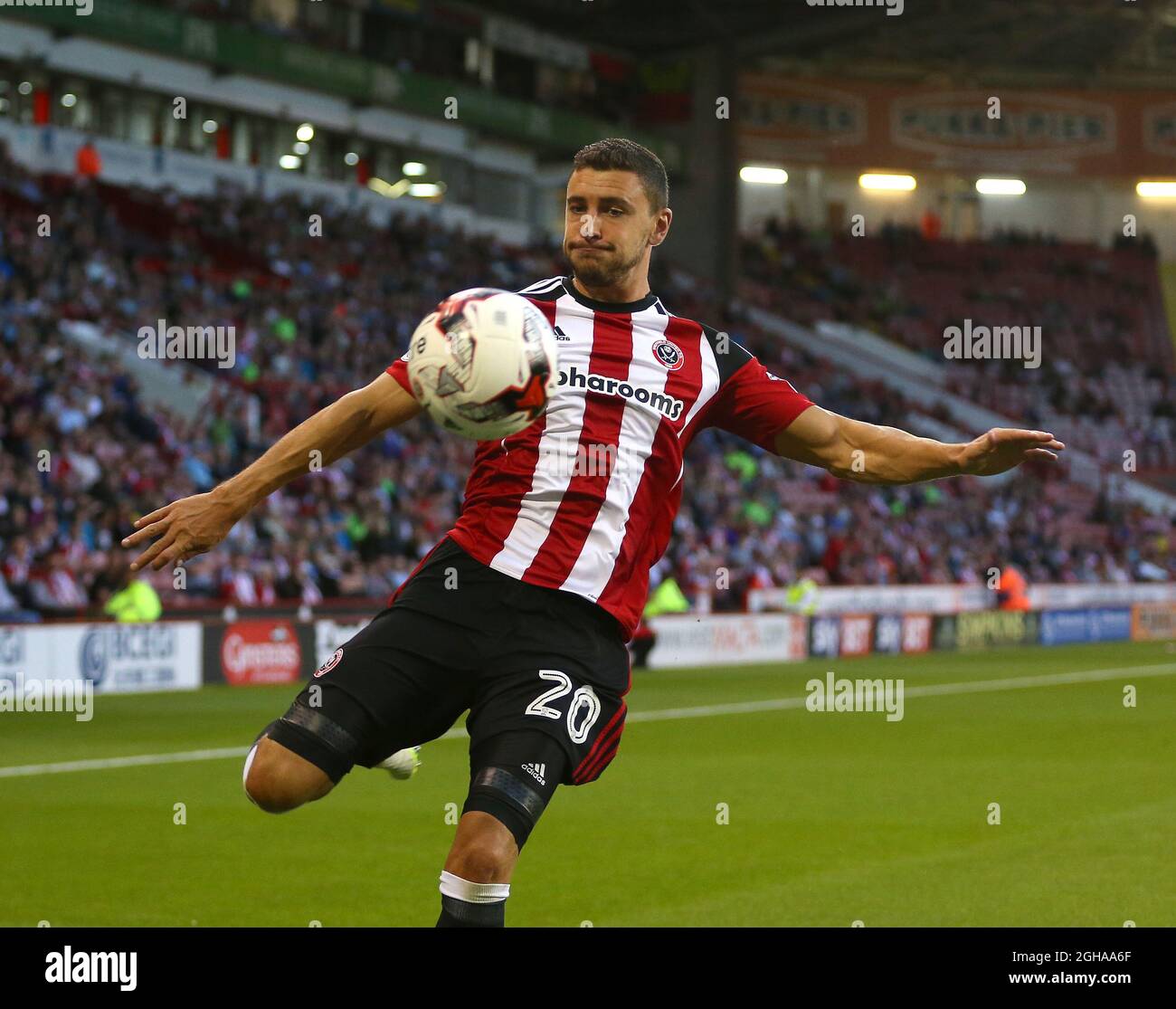 James Wilson von Sheffield Utd beim Sky Bet EFL League One Match im Bramall Lane Stadium, Sheffield. Bilddatum: 16. August 2016. PIC Simon Bellis/Sportimage über PA Images Stockfoto