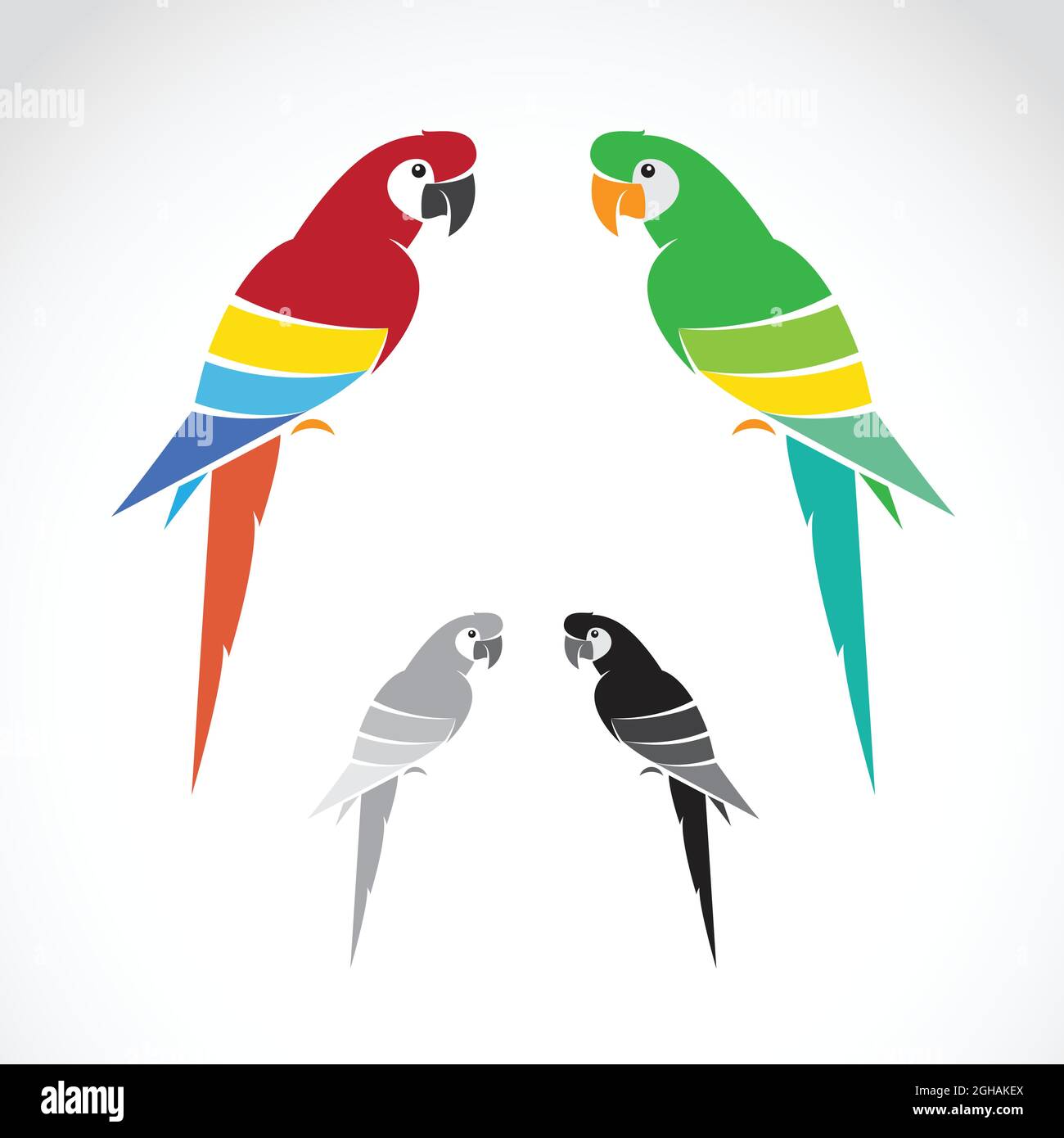 Vektorbild von Papagei auf weißem Hintergrund. Leicht editierbare Vektorgrafik mit Ebenen. Wilde Tiere. Vögel. Stock Vektor
