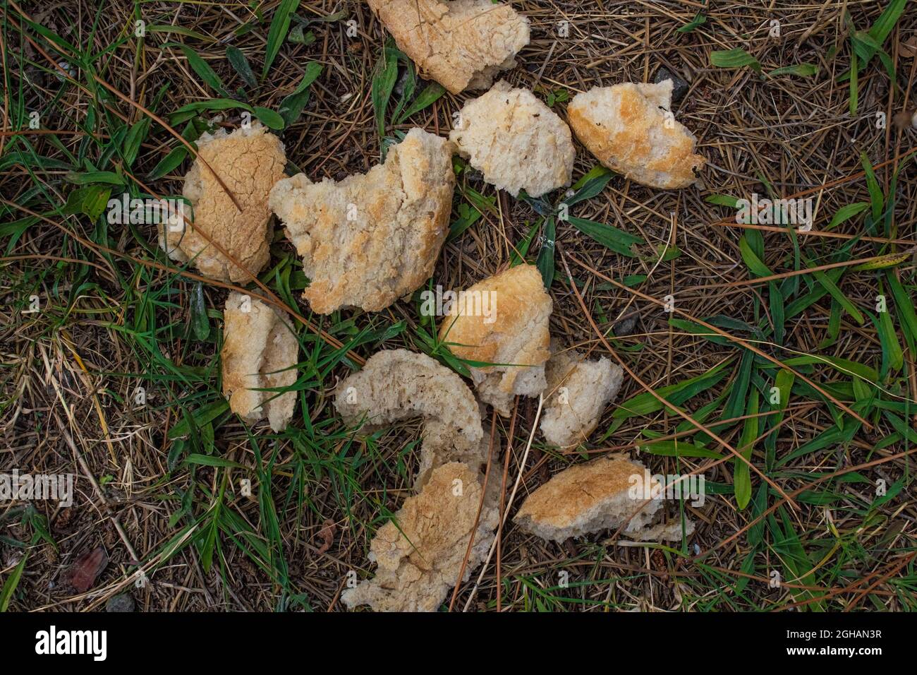 Verschwendete Lebensmittel auf den Boden geworfen. Brot abfällen. Leider Lebensmittelverschwendung Stockfoto