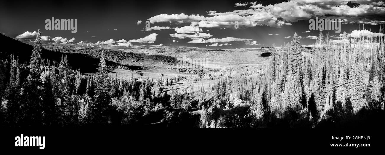 Der Blick vom Agner Mountain auf die Zirkel Wilderness Area im Nordwesten Colorados. Die Szene wird in Schwarzweiß-Infrarotlicht dargestellt. Stockfoto