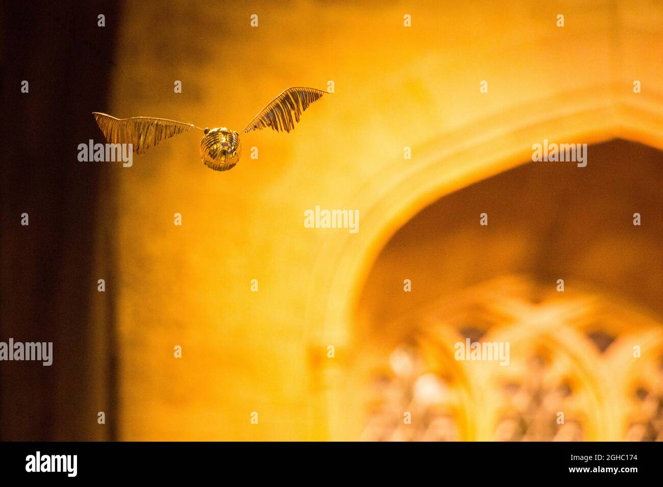 Goldener schnatz harry potter -Fotos und -Bildmaterial in hoher Auflösung –  Alamy