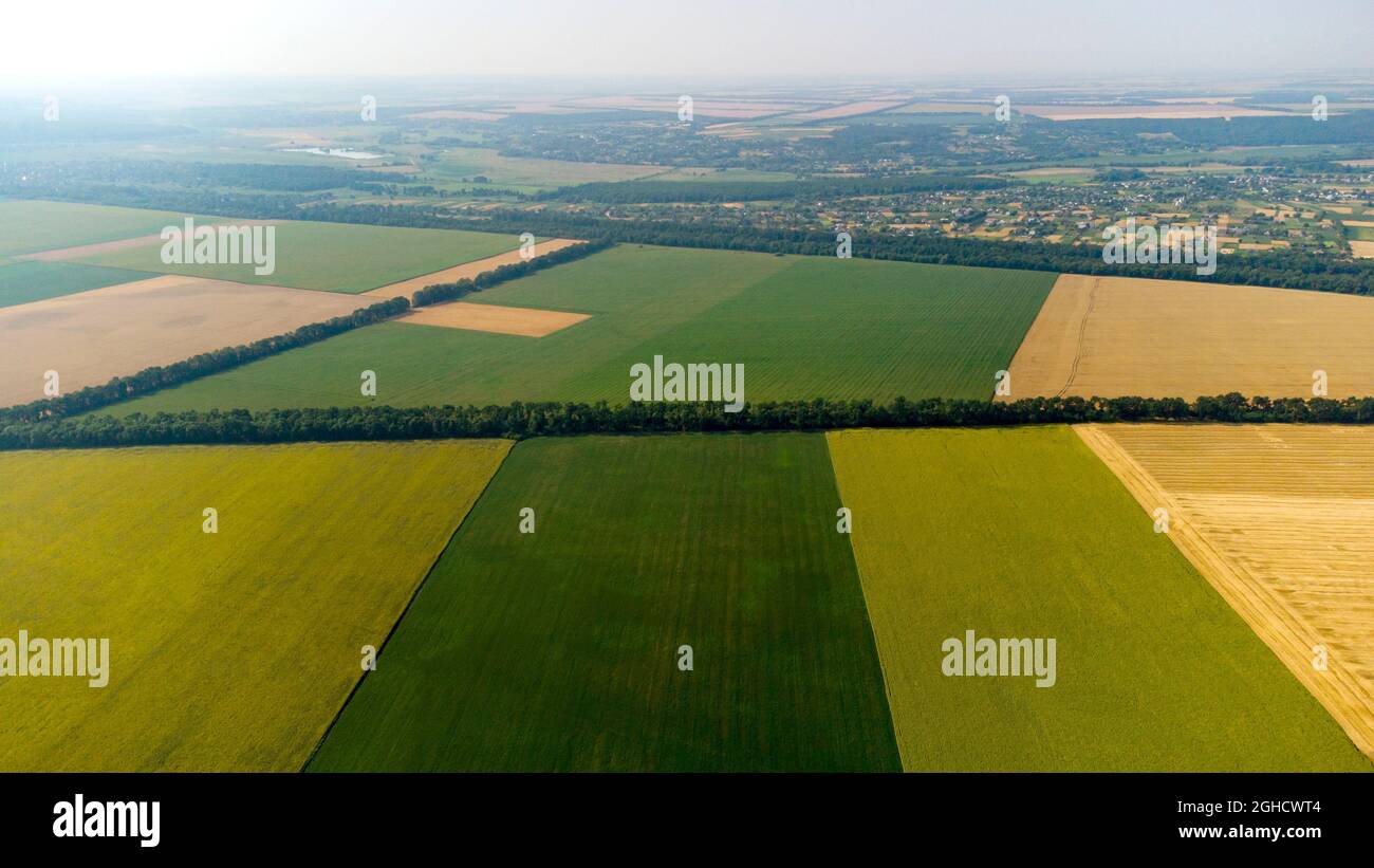 Luftdrohnen-Rundflug über verschiedene gelbe und grüne landwirtschaftliche Felder Stockfoto