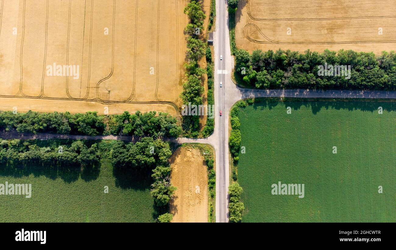 Luftdrohnenflug über eine asphaltierte Straße zwischen gelb und grün Stockfoto