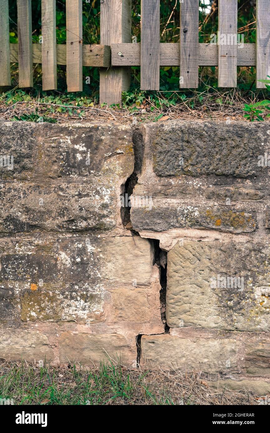 Ein Bewegungsbruch in einer Gartenwand von britischen Wohnimmobilien im Freien aufgrund von Baumwurzeln. Stockfoto
