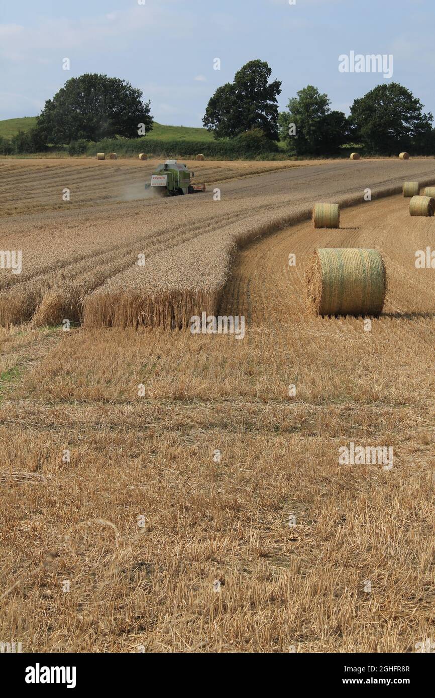 Feld, das am Sommertag in West Yorkshire, Großbritannien, von einem Mähdrescher mit unscharfer Luft und Wolken geerntet wird Stockfoto