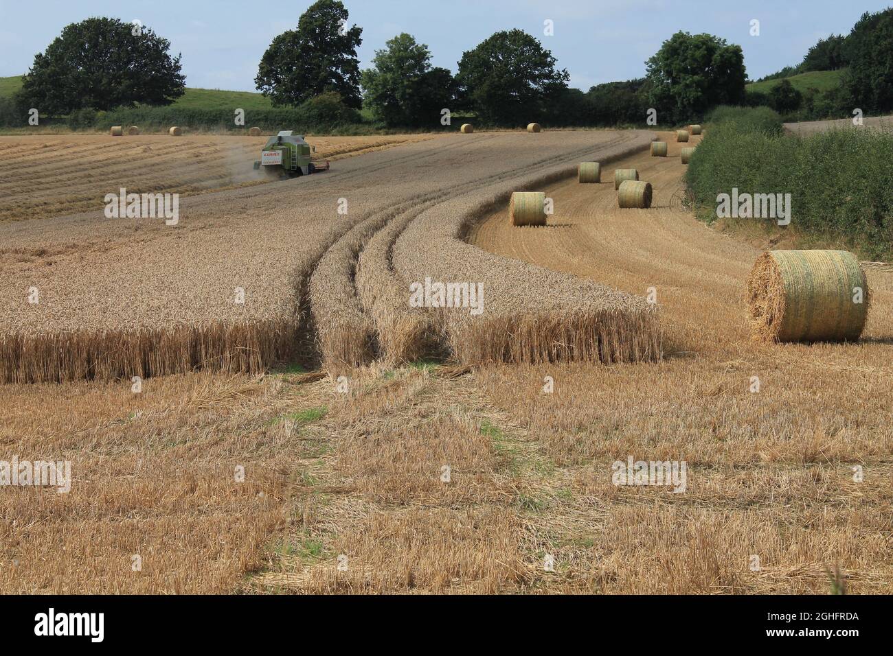 Feld, das am Sommertag in West Yorkshire, Großbritannien, von einem Mähdrescher mit unscharfer Luft und Wolken geerntet wird Stockfoto