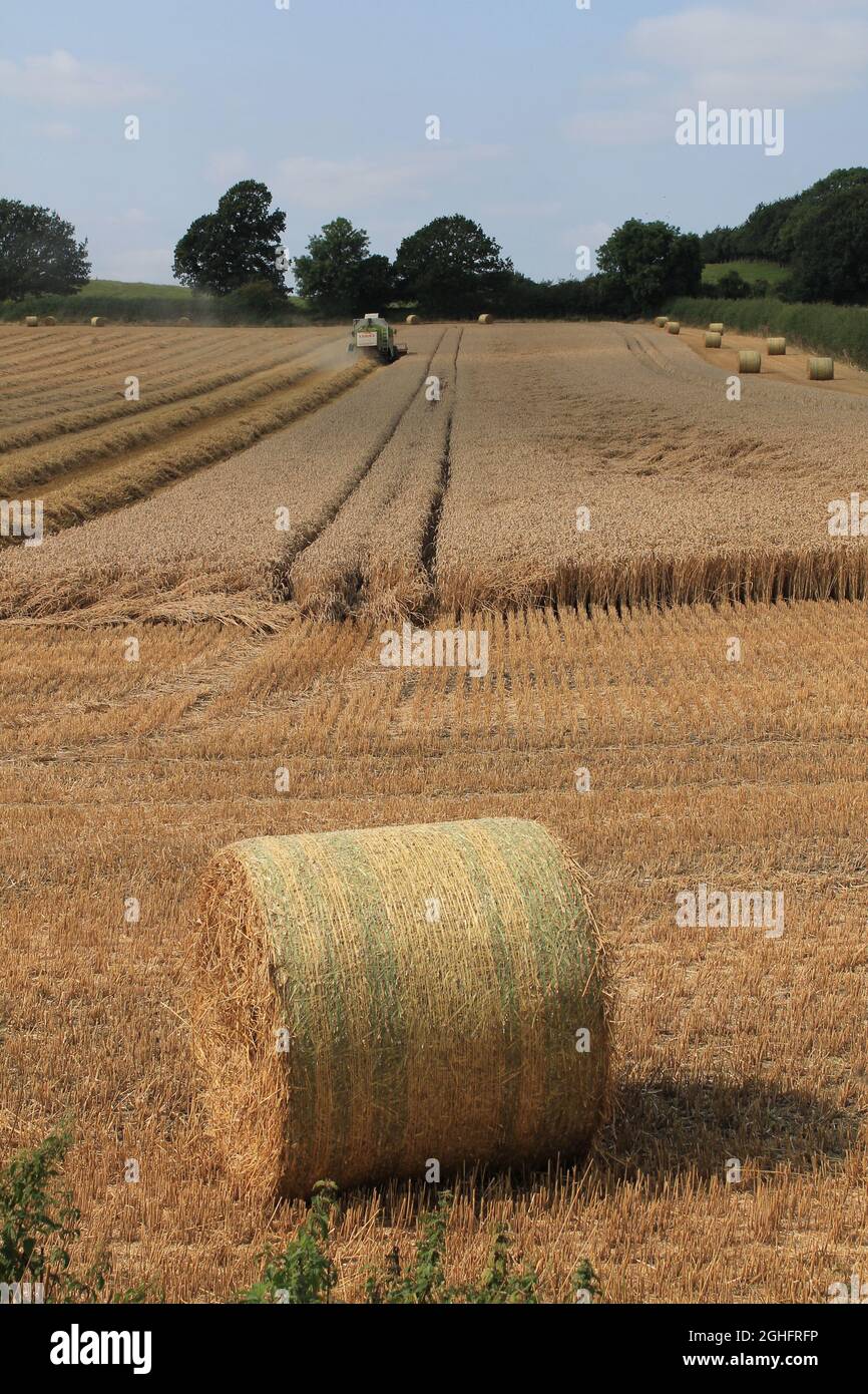 Feld, das am Sommertag in West Yorkshire, Großbritannien, von einem Mähdrescher mit unscharfer Luft und Wolken geerntet wird Stockfoto